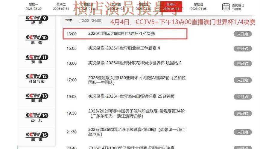 世界杯直播背景下的世界杯买球平台解析与速度测试